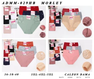 Plus-size rib and lace brief assortment