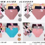 Plus-size embroidered cotton brief assortment