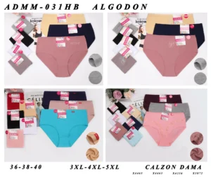 Plus-size embroidered cotton brief assortment